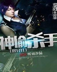 神偷特工电影简介